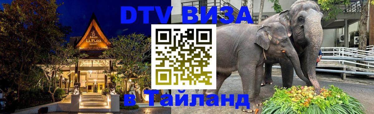 Оформить DTV визу в Тайланд Владимир 